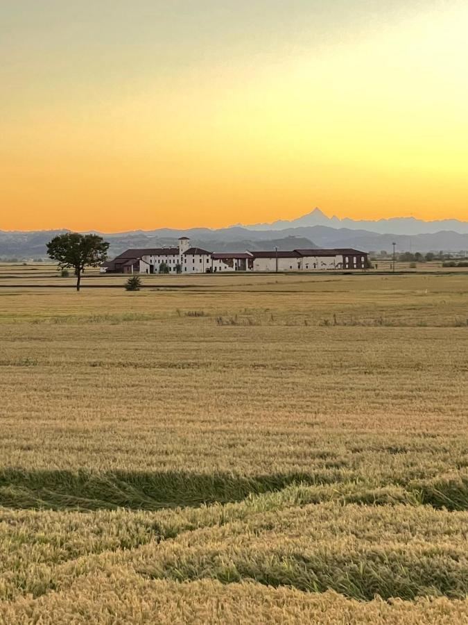 Tenuta Favorita Country House B&B Fontanetto Po Zewnętrze zdjęcie